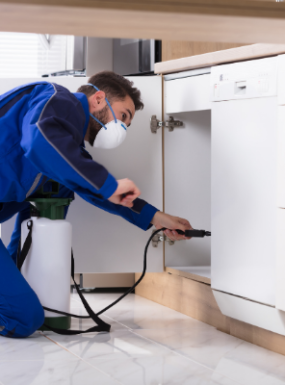 شركات تنظيف المنازل في الشارقة سمارت كلين 0554408749